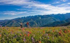 Things To Do Mountain Biking